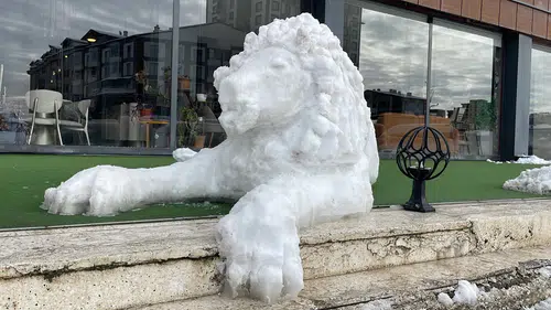 Kardan Adam Değil, Kardan Aslan Yaptı