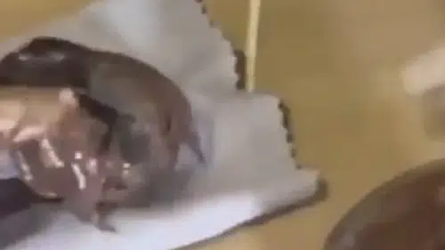 Çikolata Görünümlü Zehir: Çikolata Kavanozundan Kokain Çıktı!