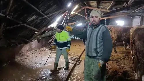 Kar Kütlesi Çatıyı Çökertti! Kar Nedeniyle Ahır Çöktü