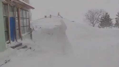 Sivas'ta Kar Esareti: Altınyayla'da Kar Boyu 3 Metreyi Buldu!