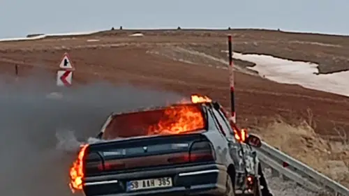 Yenice Köyü Yakınlarında Otomobil Yangını Paniğe Neden Oldu