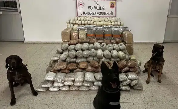 Gümrükte büyük şok: Kümes değil zehir deposu!