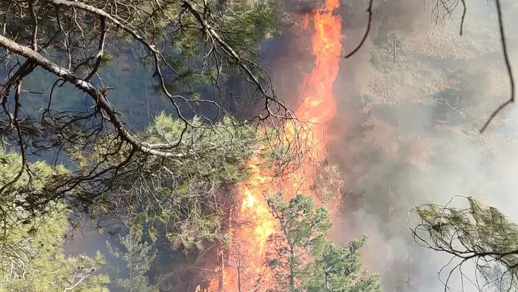 Hatay’da büyük tehlike! Orman yangını alev alev yayılıyor