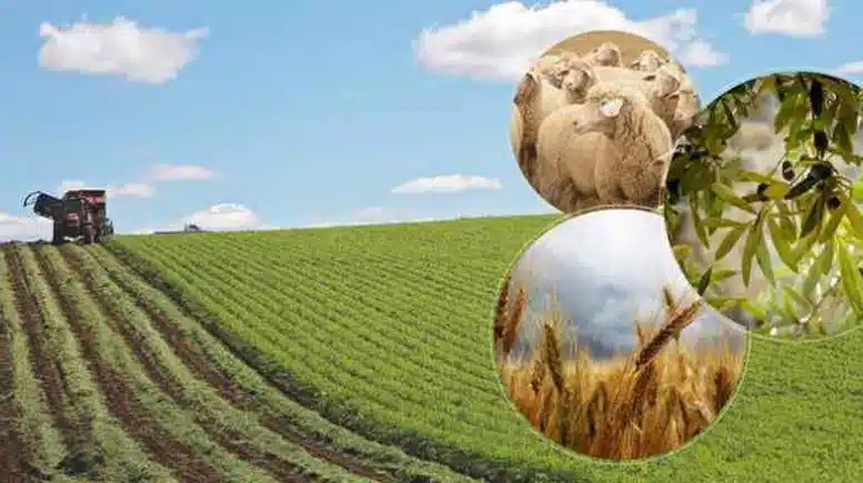 Üreticilere 237 milyon 819 bin lira destek