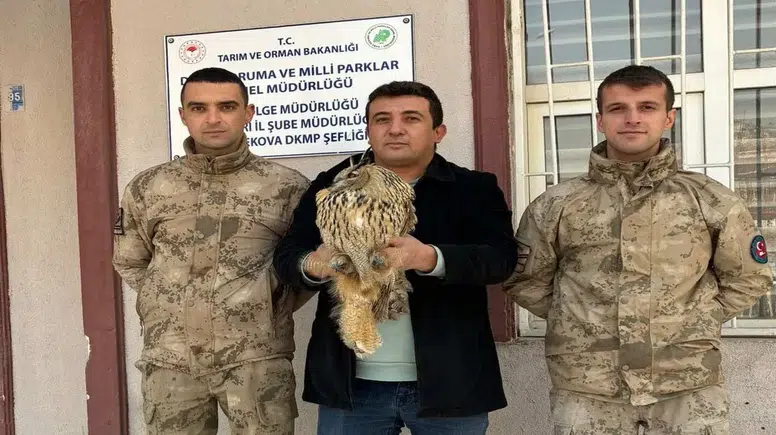 Nesli tükenmekte olan baykuş jandarmanın şefkatiyle kurtarıldı!