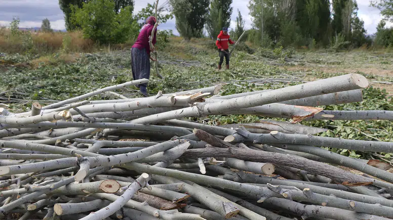 Kömür Fiyatları El Yakıyor: Çareyi Odun Toplamakta Buldular!