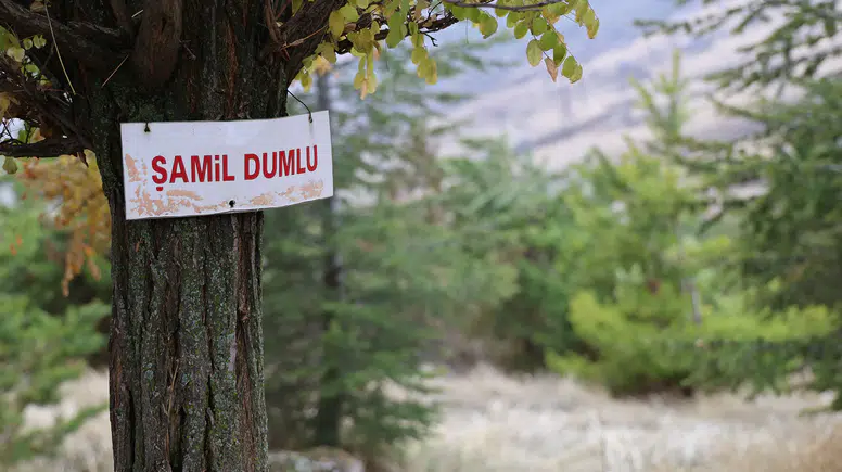 Gölgesiz Köyden Yeşile: İki Arkadaşın Hayali Köyü Nasıl Dönüştürdü?