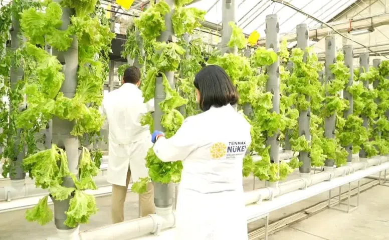 Afetlere Hazırlık: Uzun Raf Ömürlü Ekmek Reçetesi Üzerinde Çalışmalar Sürüyor