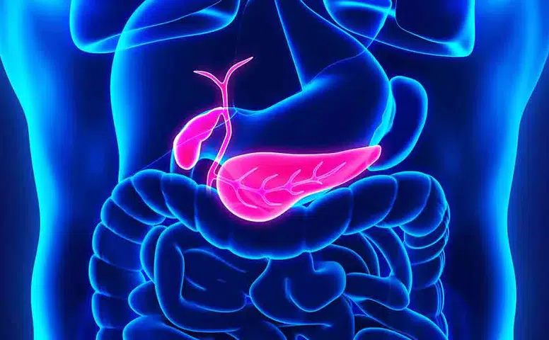 Sessiz Tehlikeye Dikkat: Safra Taşı Belirti Vermeden İlerliyor
