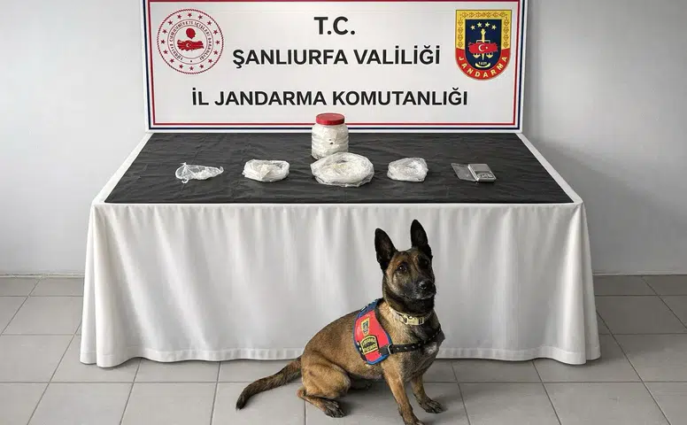 Narkotik köpekleri noktayı koydu, 538 gram zehir yakalandı