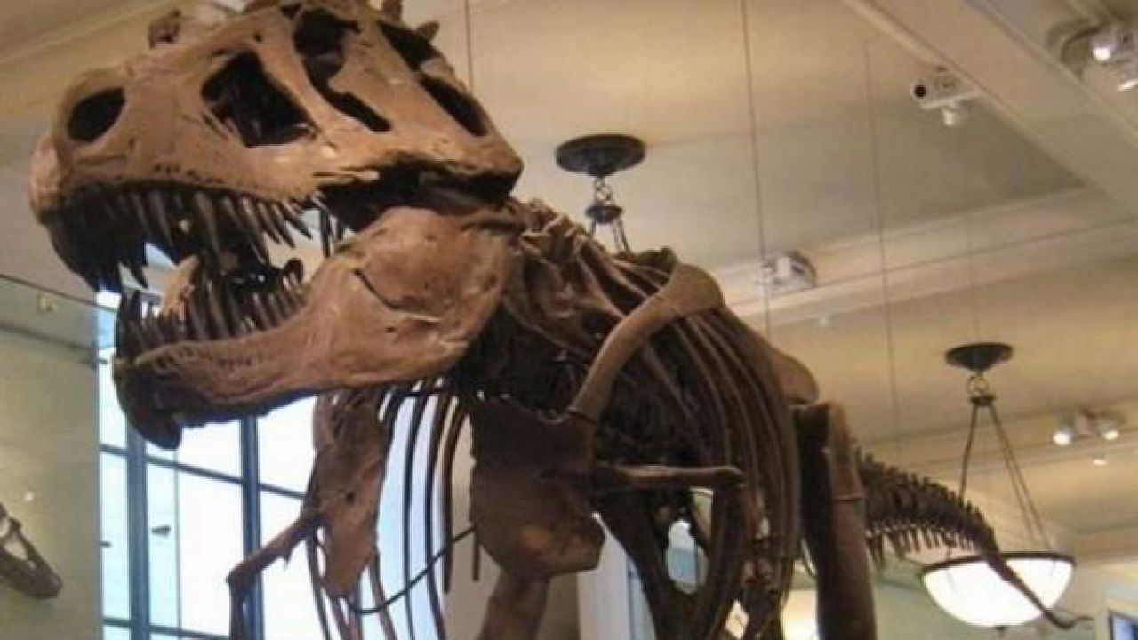 Dünyanın En İlginç 10 Mesleği 1