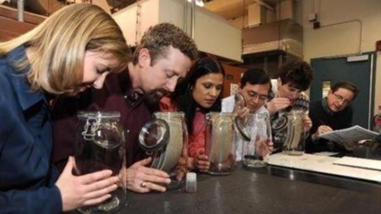 Dünyanın En İlginç 10 Mesleği 7