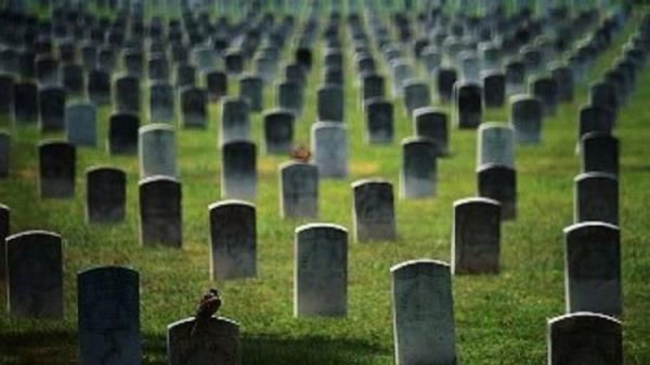 Dünyanın En İlginç 10 Mesleği 4