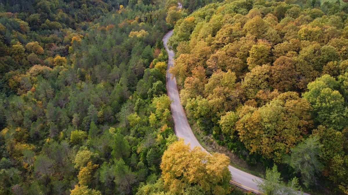 Sonbahar güzelliği seyirlik manzaralar sunuyor 2