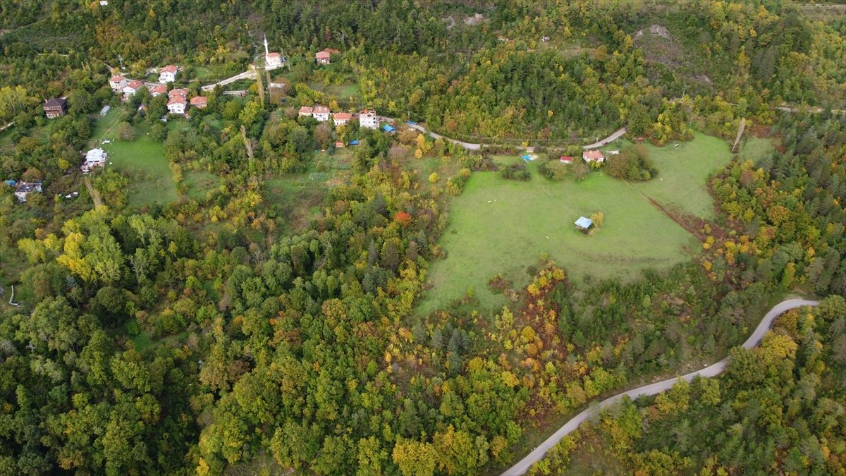 Sonbahar güzelliği seyirlik manzaralar sunuyor 5