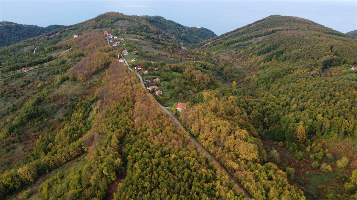 Sonbahar güzelliği seyirlik manzaralar sunuyor 3