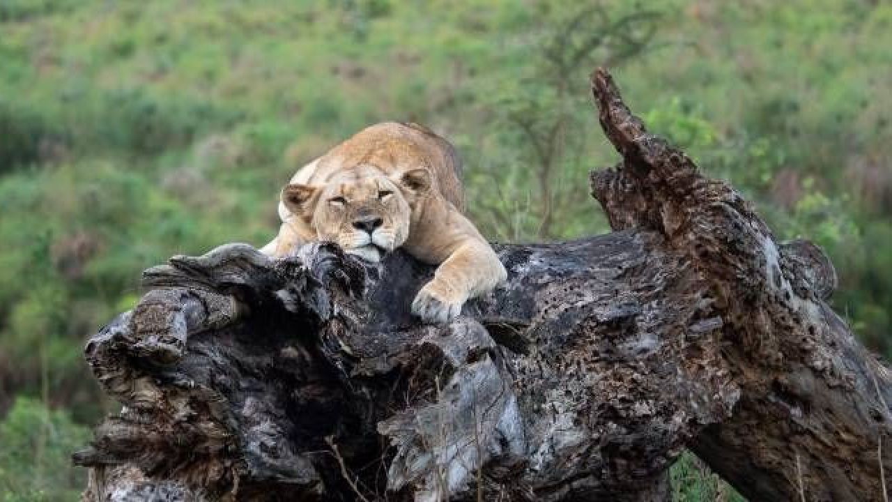 2026'da mutlaka görülmesi gereken 25 yeri seçtiler: Türkiye'den 1 destinasyon var 12