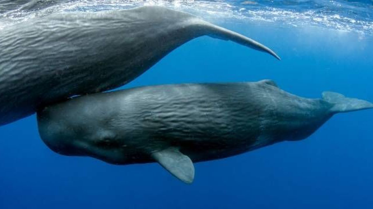 2026'da mutlaka görülmesi gereken 25 yeri seçtiler: Türkiye'den 1 destinasyon var 5