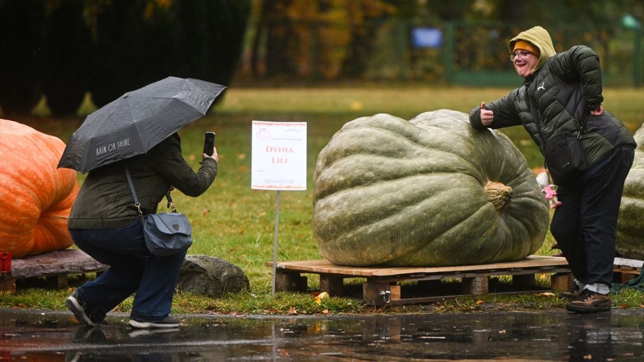 Dev Bal Kabağı Yarışması ( 546 kilogram ) 16