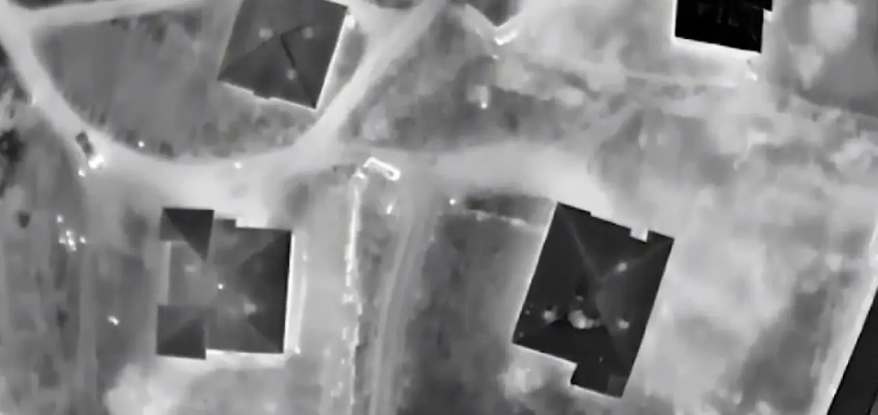 Gümrükte büyük şok: Kümes değil zehir deposu! 3