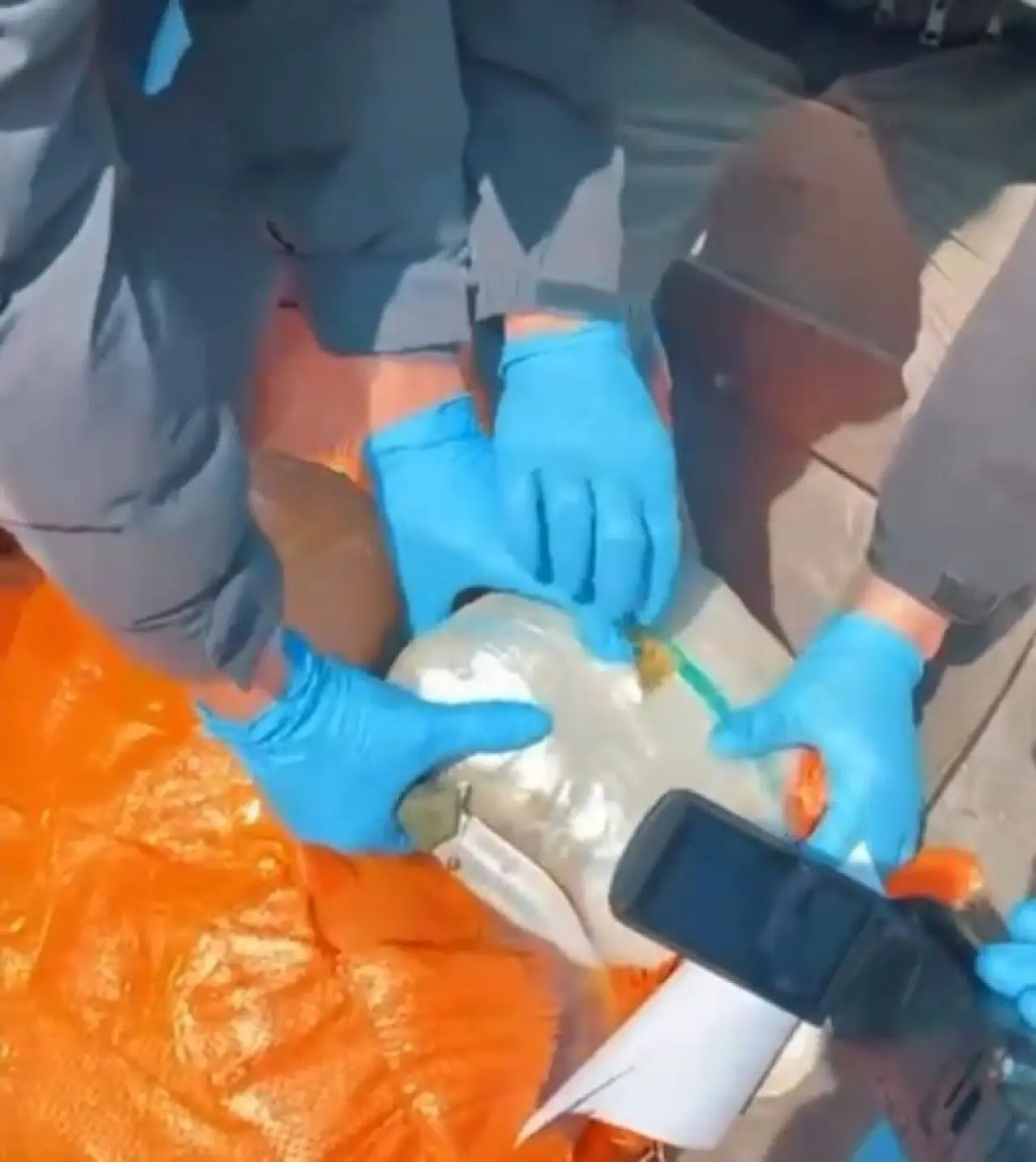 Gümrükte büyük şok: Kümes değil zehir deposu! 2