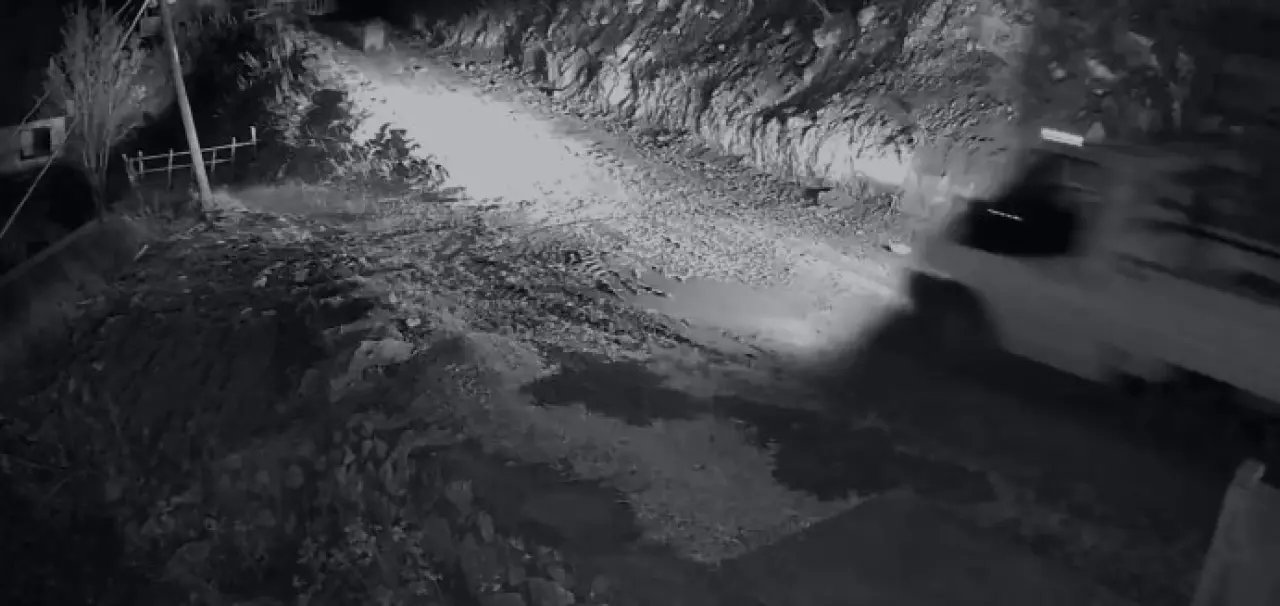 Evini talana uğratan ayıyı görünce kamyonetle üzerine sürdü 4