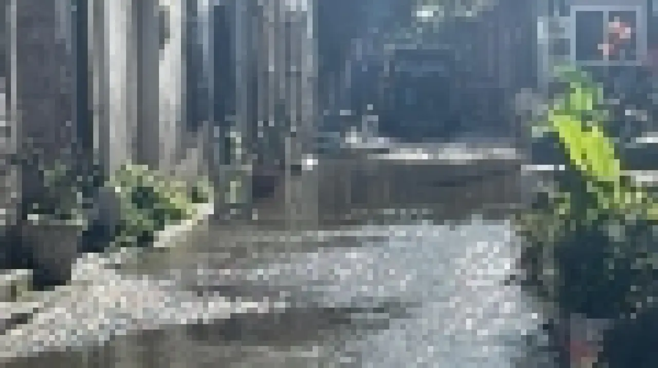 Burası Venedik değil Foça! Görenler gözlerine inanamadı 2