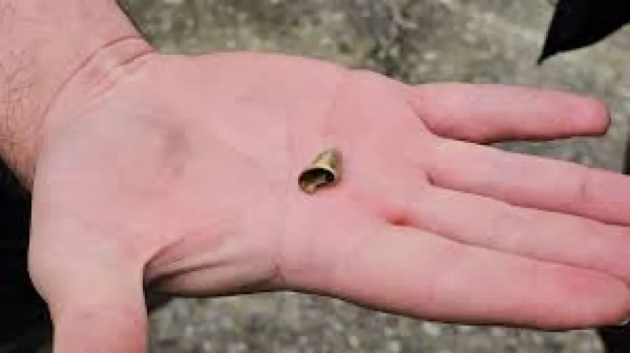 ‘Öldü’ sanılan kedi, bacağında mermiyle geri döndü 4