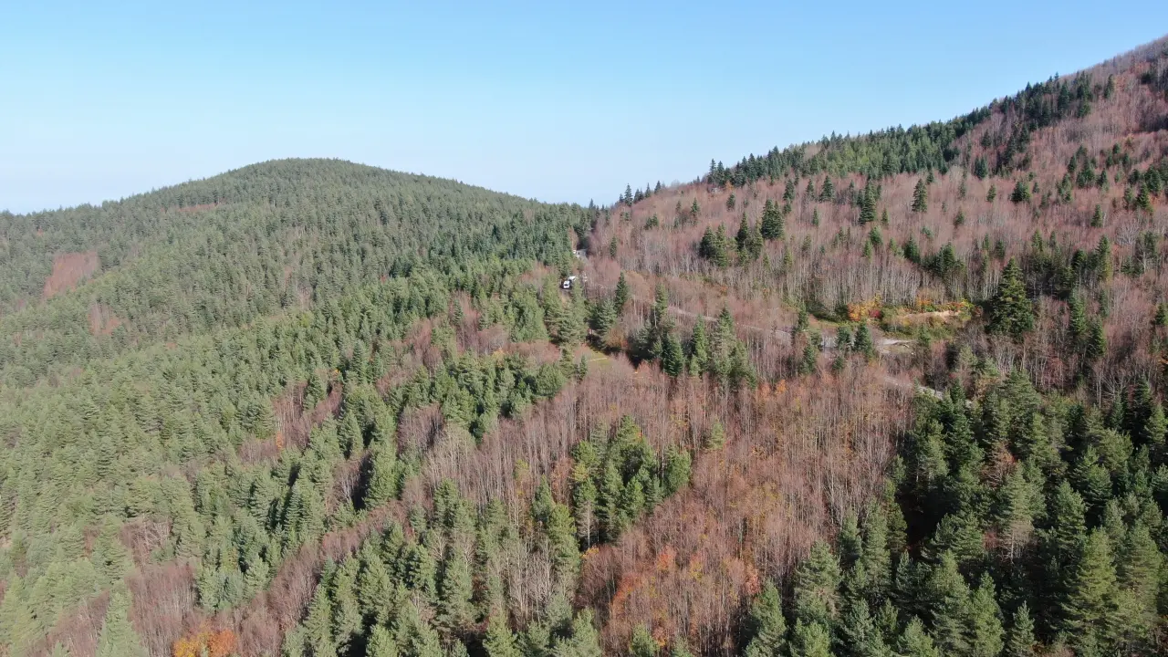 Kuzgunların izinde acı gerçek: Kayıp annenin cansız bedenine ulaştı 3