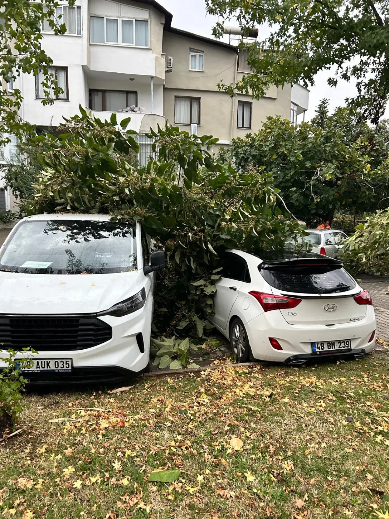 Kuvvetli fırtına Marmaris’i felç etti! Yelkenliler karaya oturdu 2