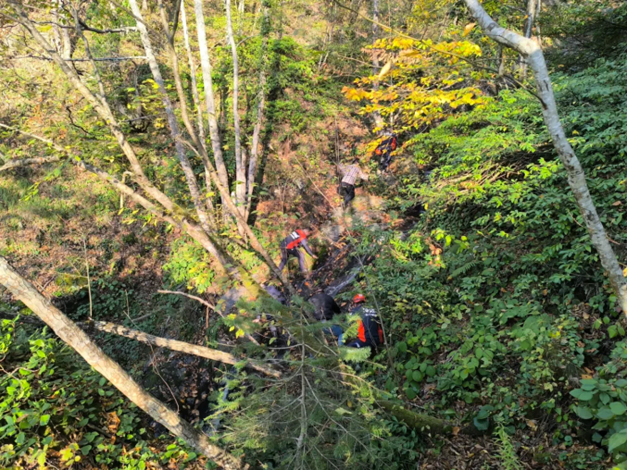 Kuzgunların izinde acı gerçek: Kayıp annenin cansız bedenine ulaştı 2