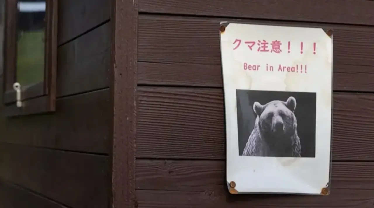 Ayı kabusu: Emekli polis ve askerler göreve çağrıldı 4