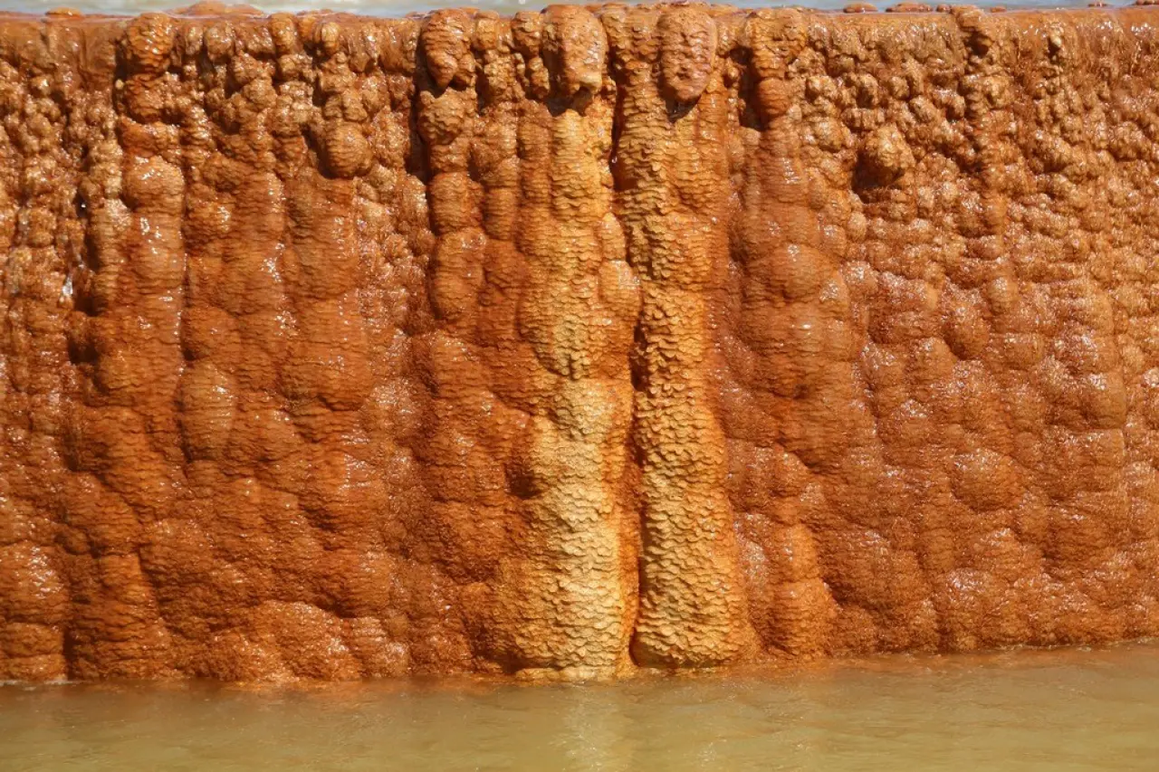 48°C’lik Şifa ve Altın Renk 15