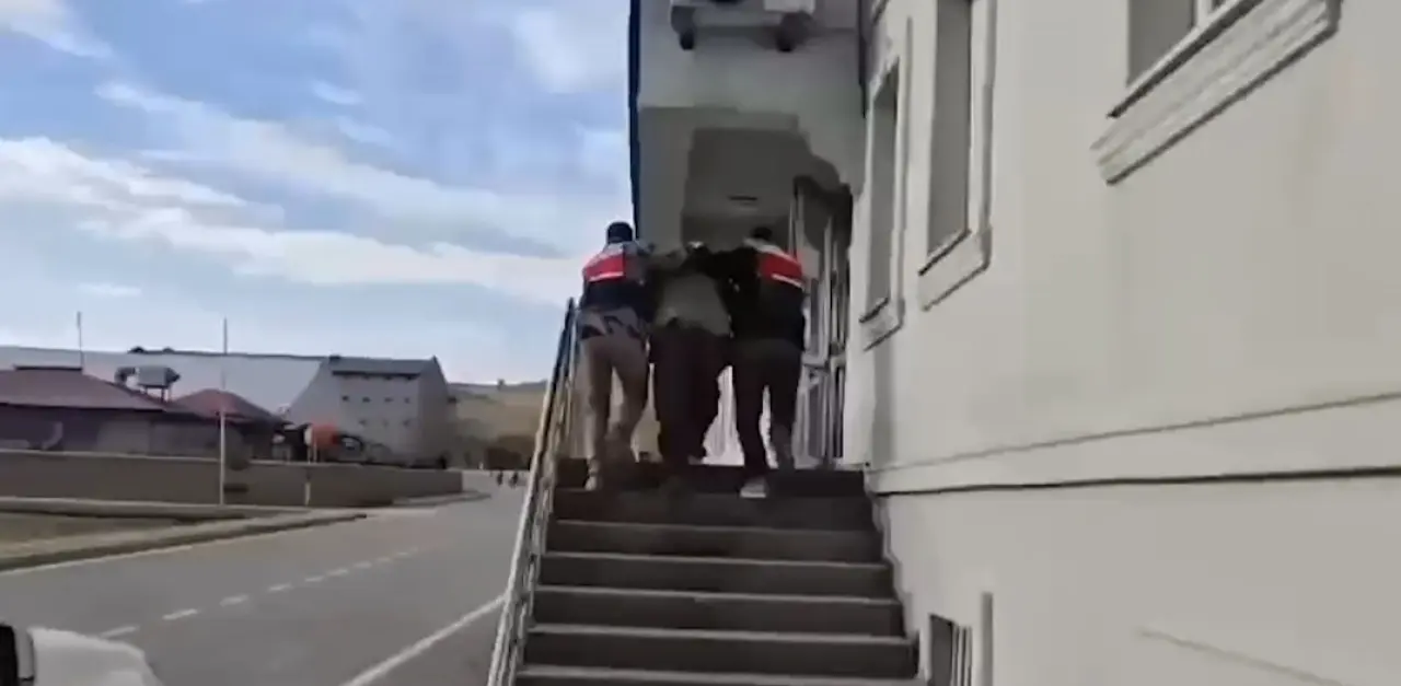 Gümrükte büyük şok: Kümes değil zehir deposu! 6