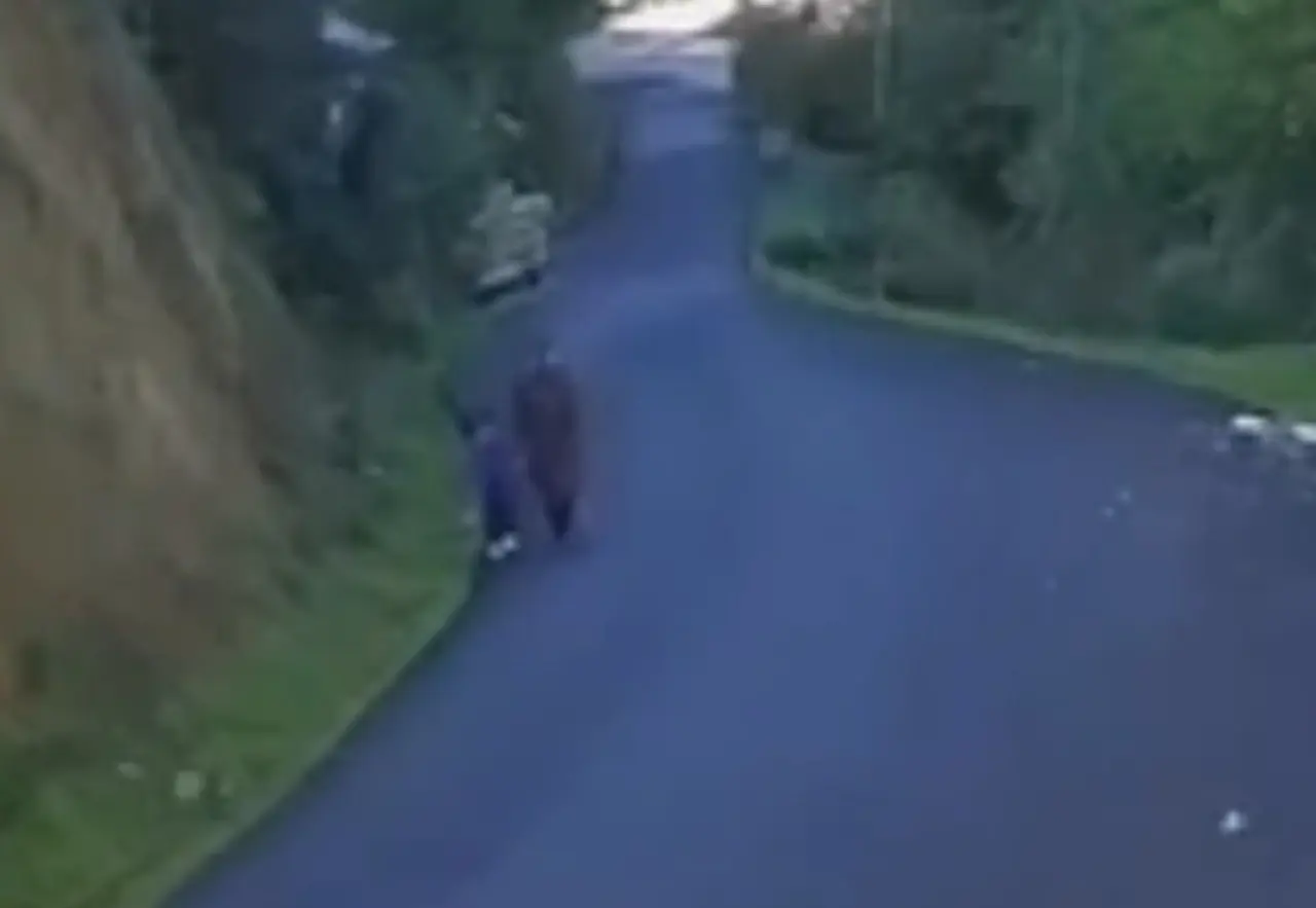 Kastamonu’da kayıp anne ve oğluna ait yeni görüntü ortaya çıktı 2