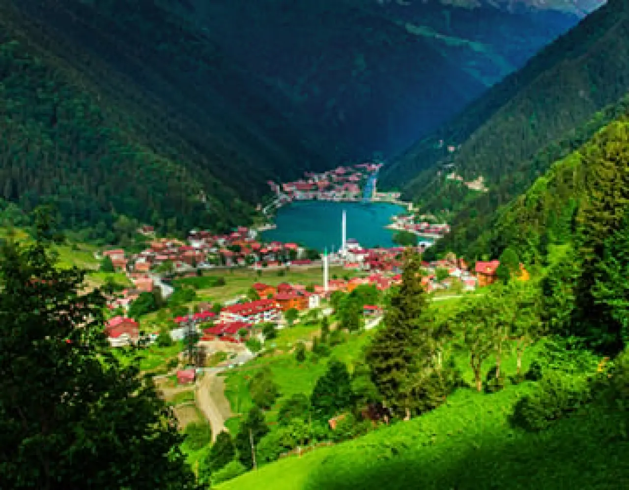 78,3 Yıl! Türkiye'nin Ortalama Yaşam Süresi Açıklandı 4