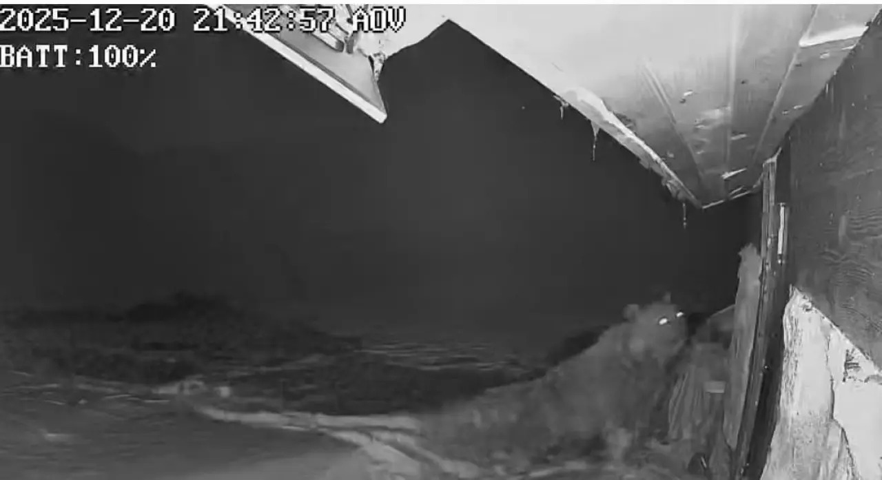 Yaylada ayı terörü! Çelik kapıyı paramparça etti 1