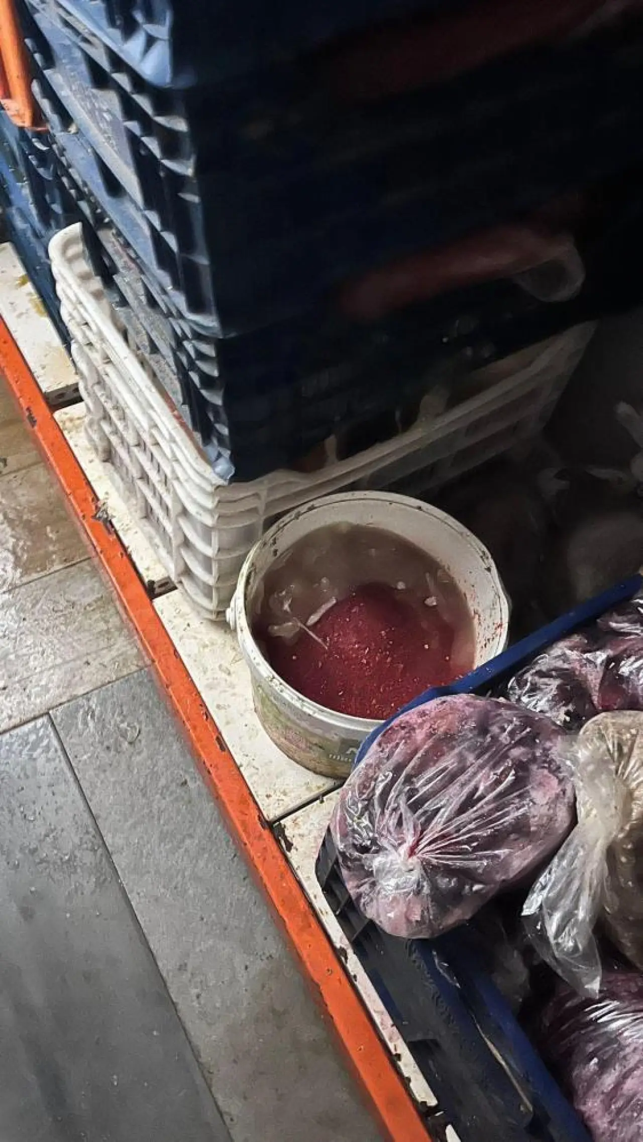 Halk sağlığıyla oynadılar! Ruhsatsız depoda binlerce kilo çürük gıda yakalandı 4