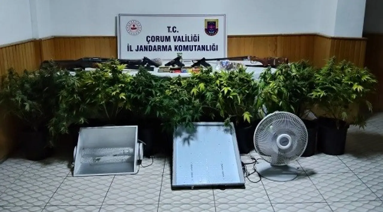 Bahçesine çadır kurdu, skunk yetiştirdi! 1