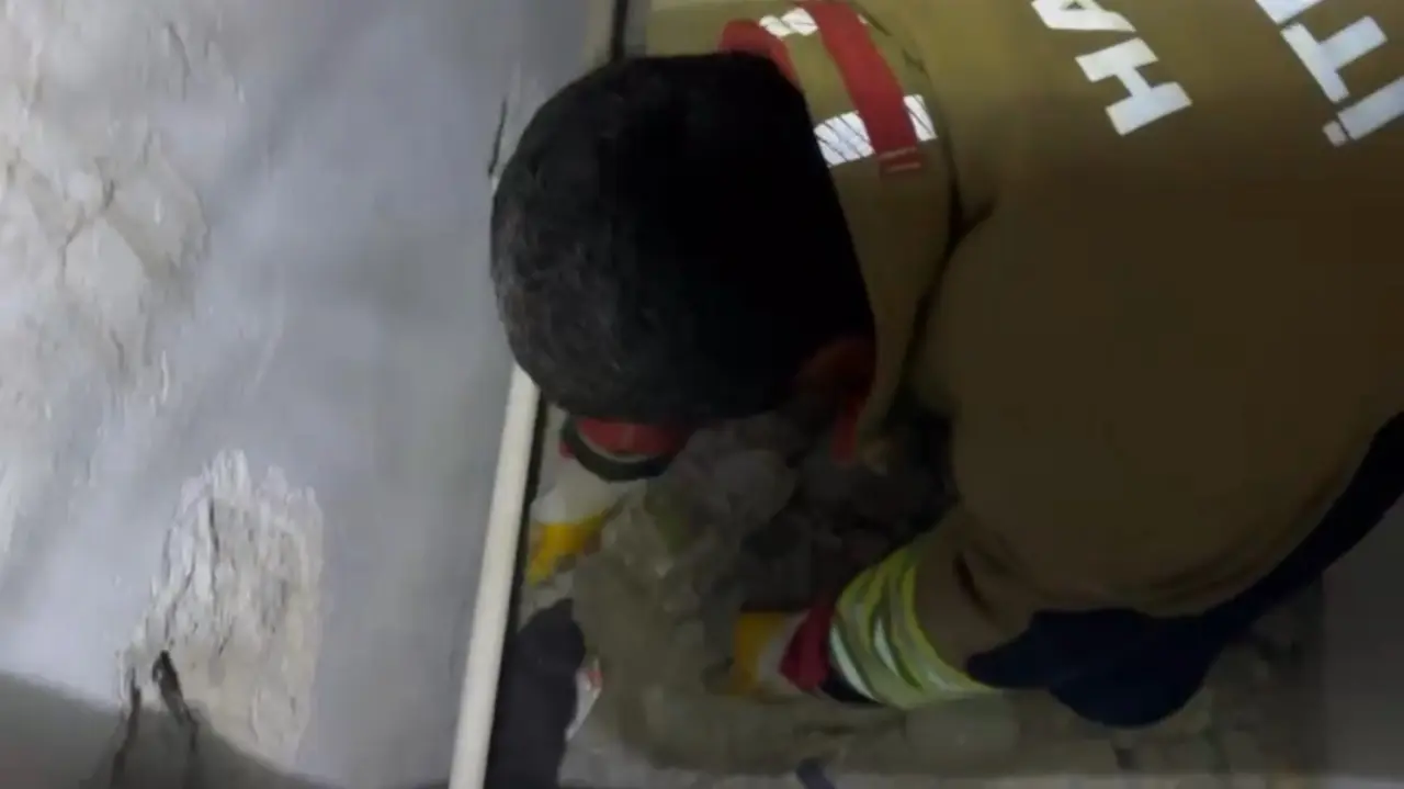 Hatay’da nefes kesen kurtarma! Minik yavru kedi son anda hayata tutundu 2