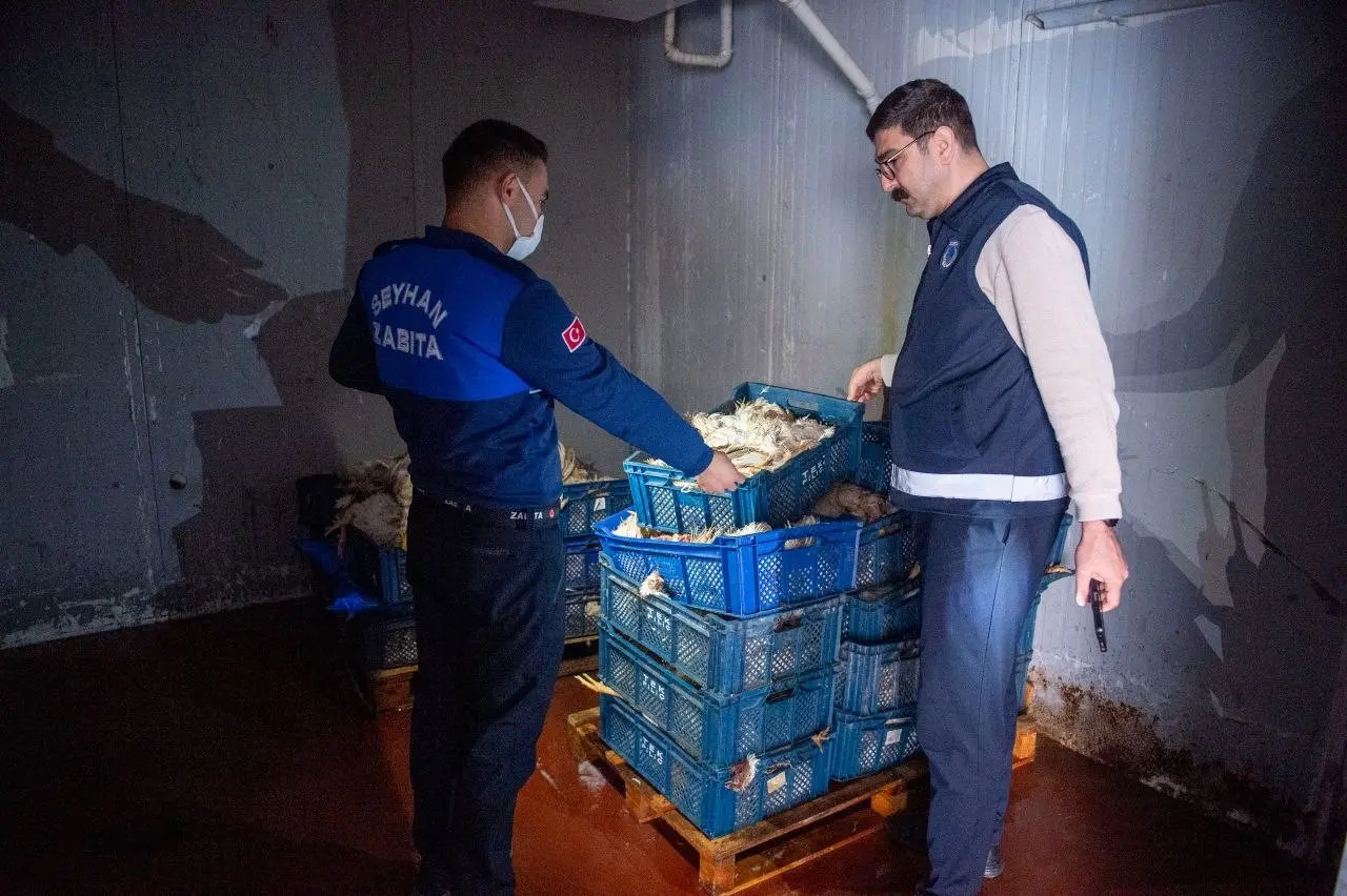 Adana’da akılalmaz manzara! Depoda 25 kasa kokmuş tavuk bulundu 1