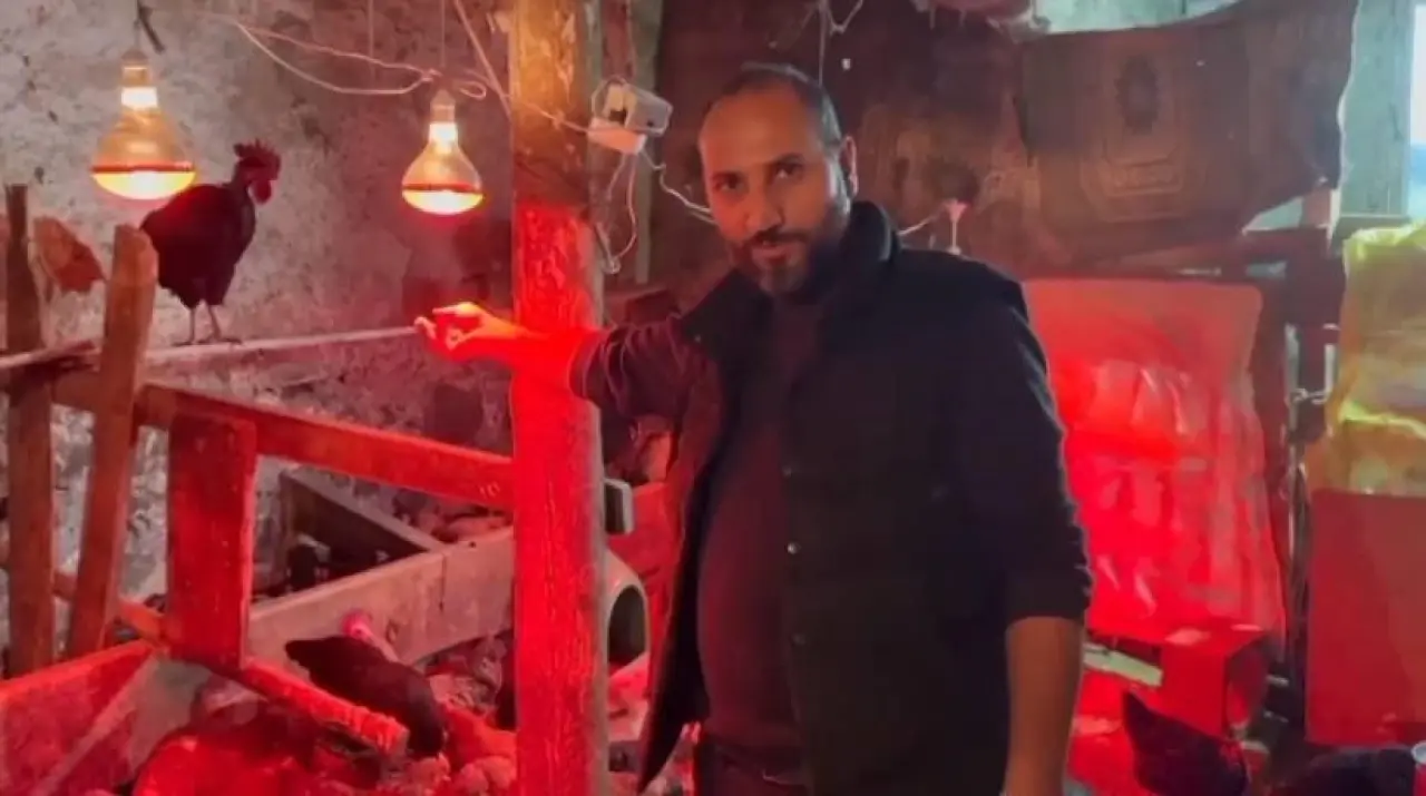 Tavuklarına müzik dinletti, verimi katladı 1