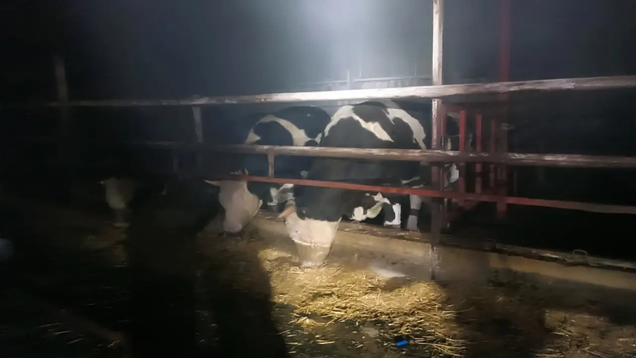 Hatay’da facia kıl payı atlatıldı! Samanlık alev alev yandı 3