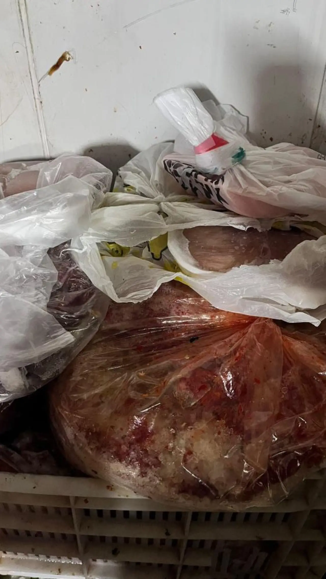 Halk sağlığıyla oynadılar! Ruhsatsız depoda binlerce kilo çürük gıda yakalandı 5