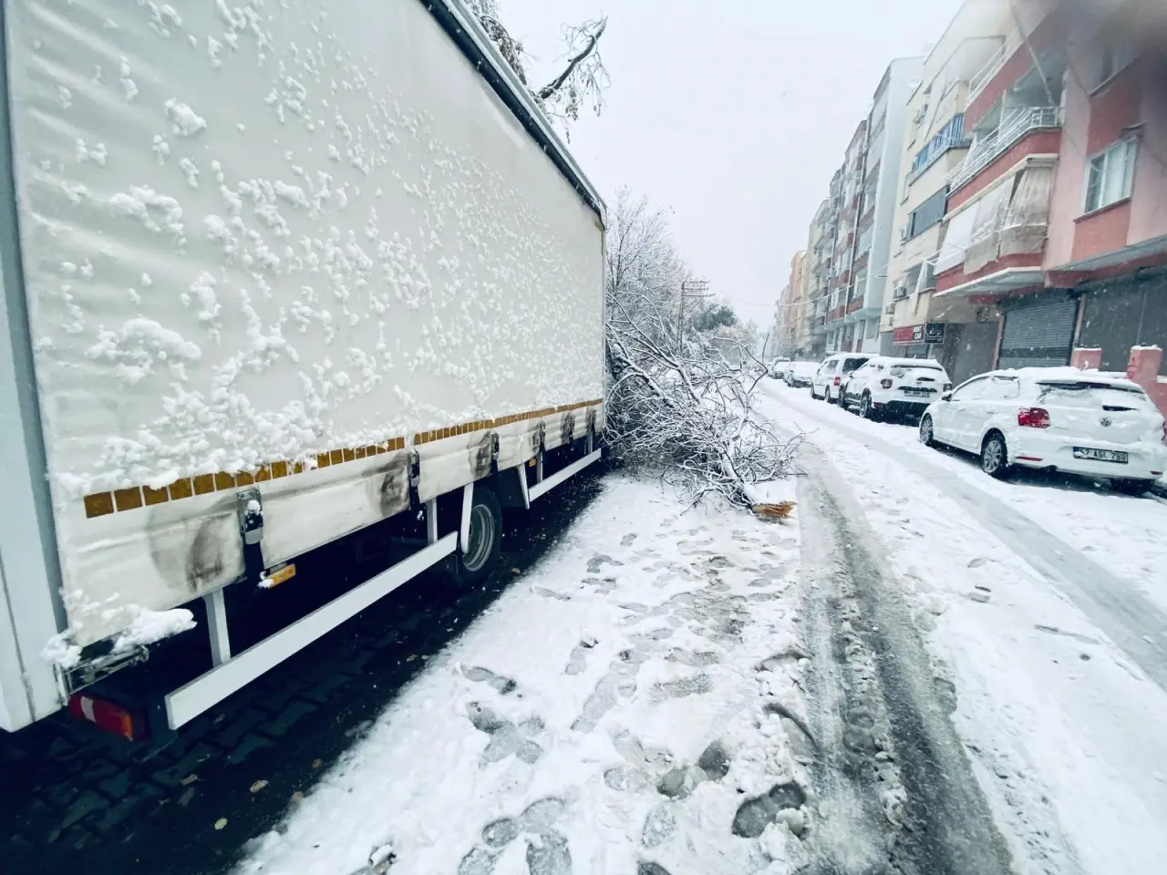 Karın ağırlığı yetti! Birecik’te ağaçlar çöktü, araçlar pert oldu 3