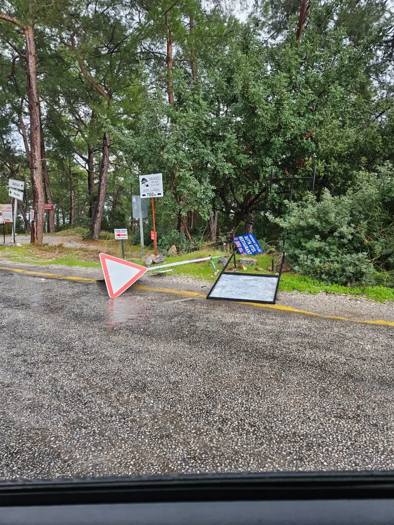 Muğla’da doğa felaketi! Dev çam ağaçları yolu kapattı 3