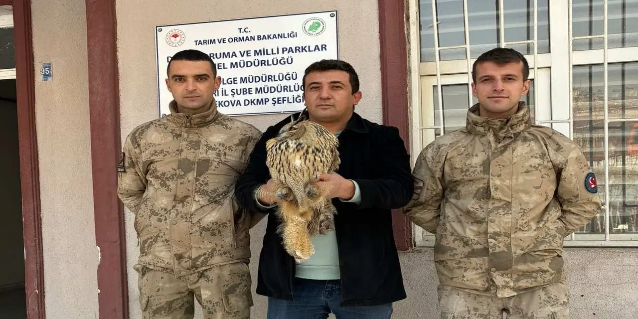 Nesli tükenmekte olan baykuş jandarmanın şefkatiyle kurtarıldı! 1