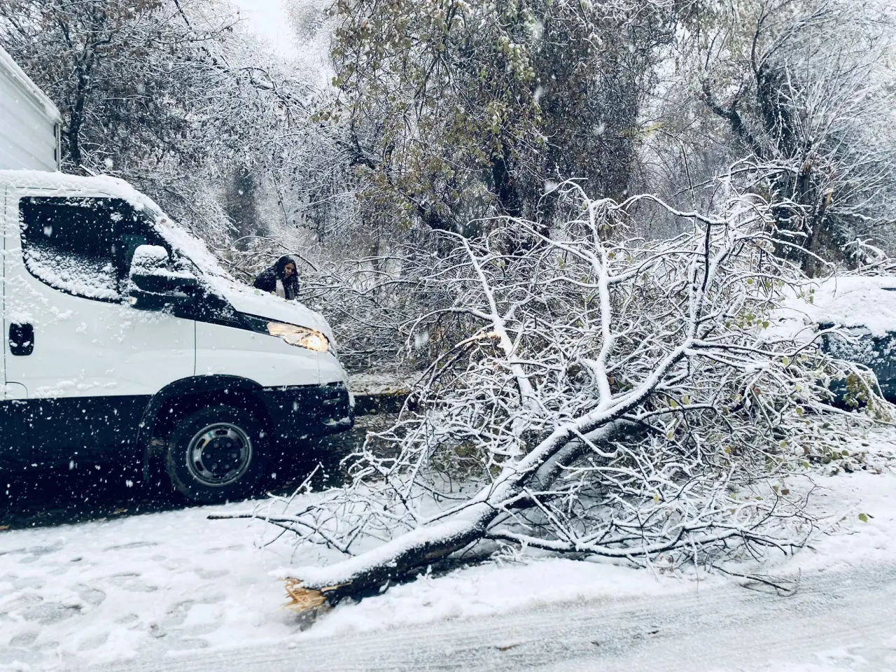 Karın ağırlığı yetti! Birecik’te ağaçlar çöktü, araçlar pert oldu 1