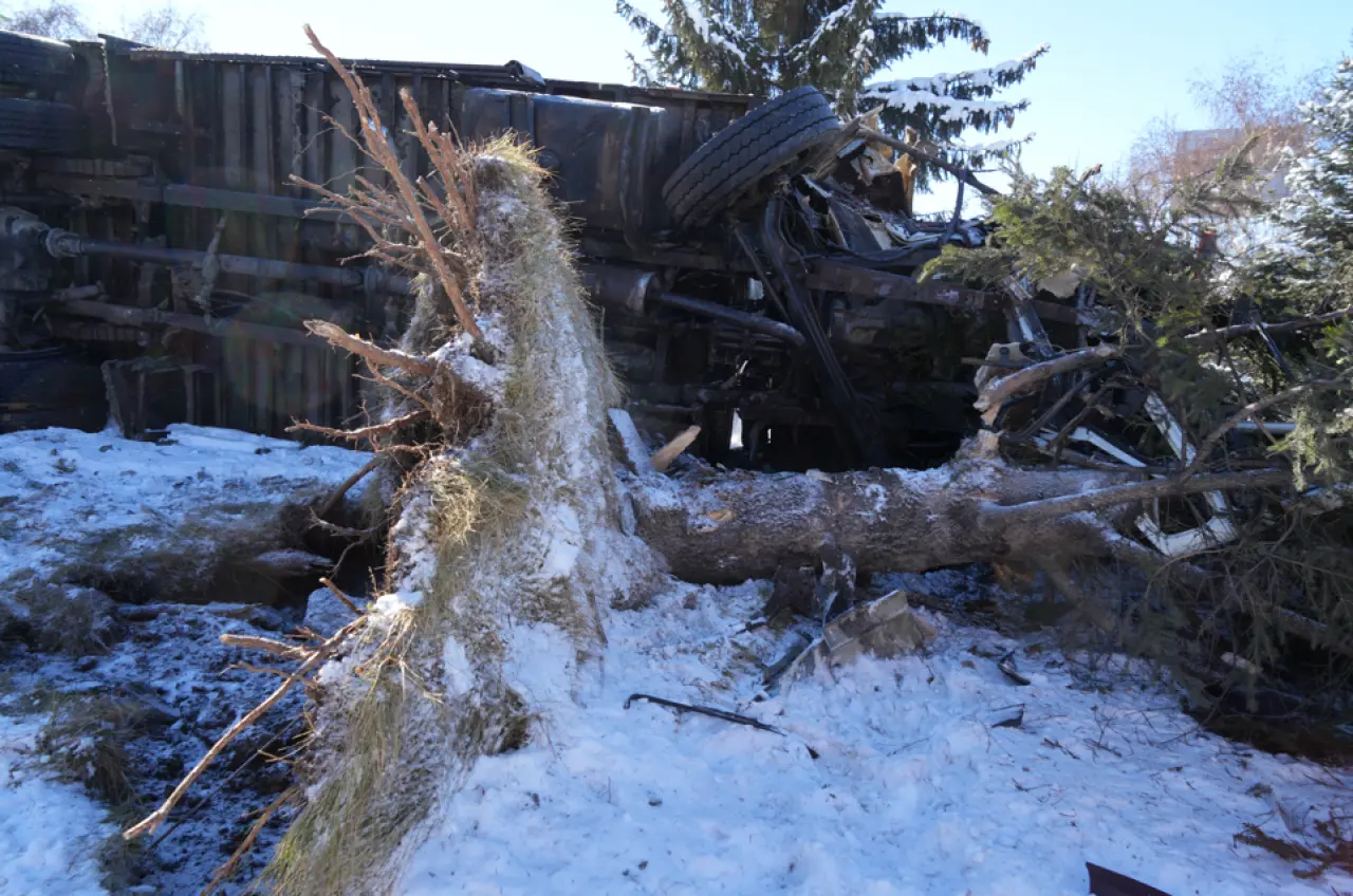 Erzurum’da dehşet anları! Kamyon ağacı kökünden söktü 3