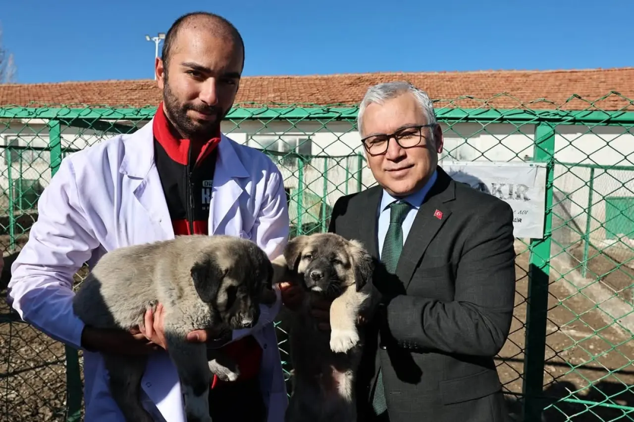 VALİ YILMAZ ŞİMŞEK’TEN TİGEM ULAŞ TARIM İŞLETMESİ’NE İNCELEME ZİYARETİ 4